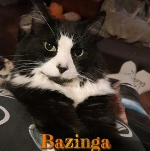 Meet your Posher, Jody